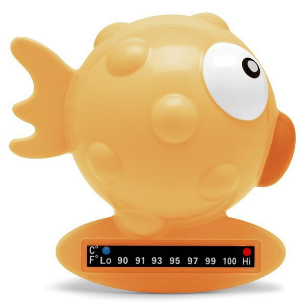 7033498.jpg